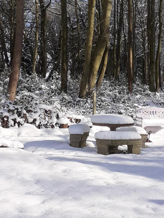 Gingerbread Cottage Yurts Dereham Zewnętrze zdjęcie