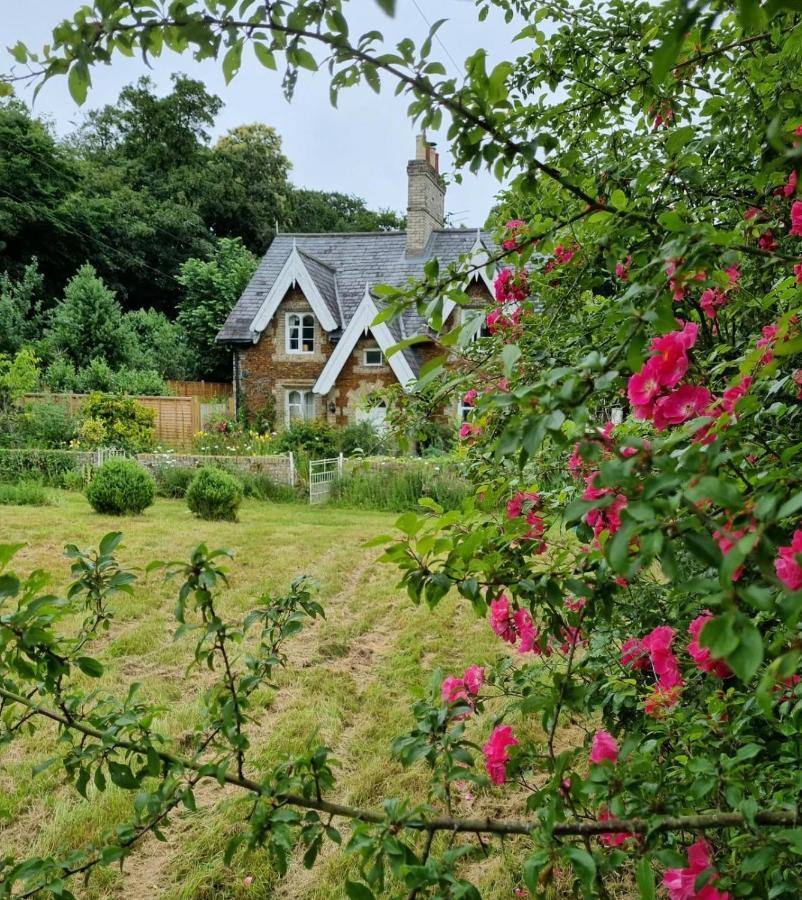 Gingerbread Cottage Yurts Dereham Zewnętrze zdjęcie