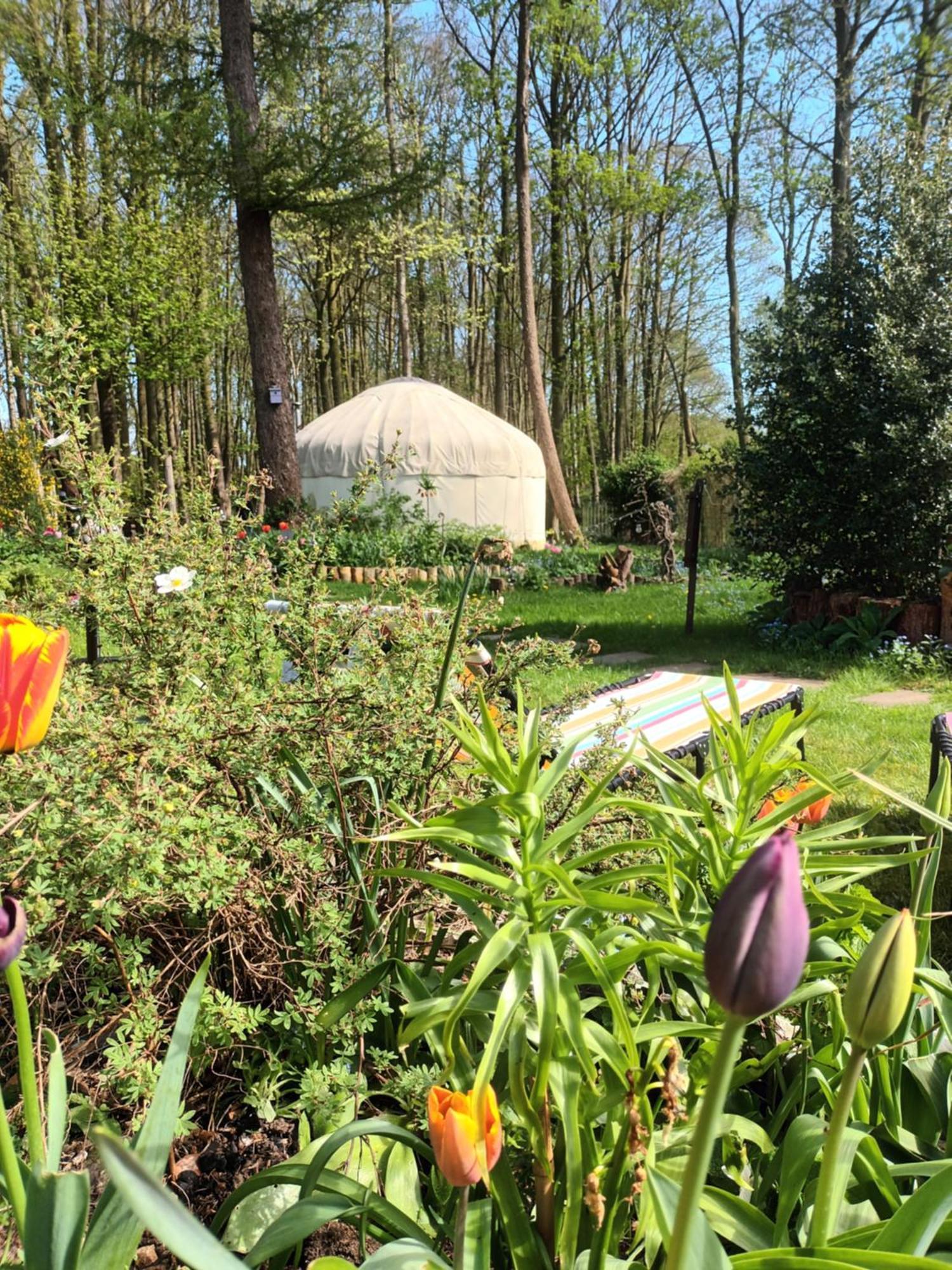 Gingerbread Cottage Yurts Dereham Zewnętrze zdjęcie