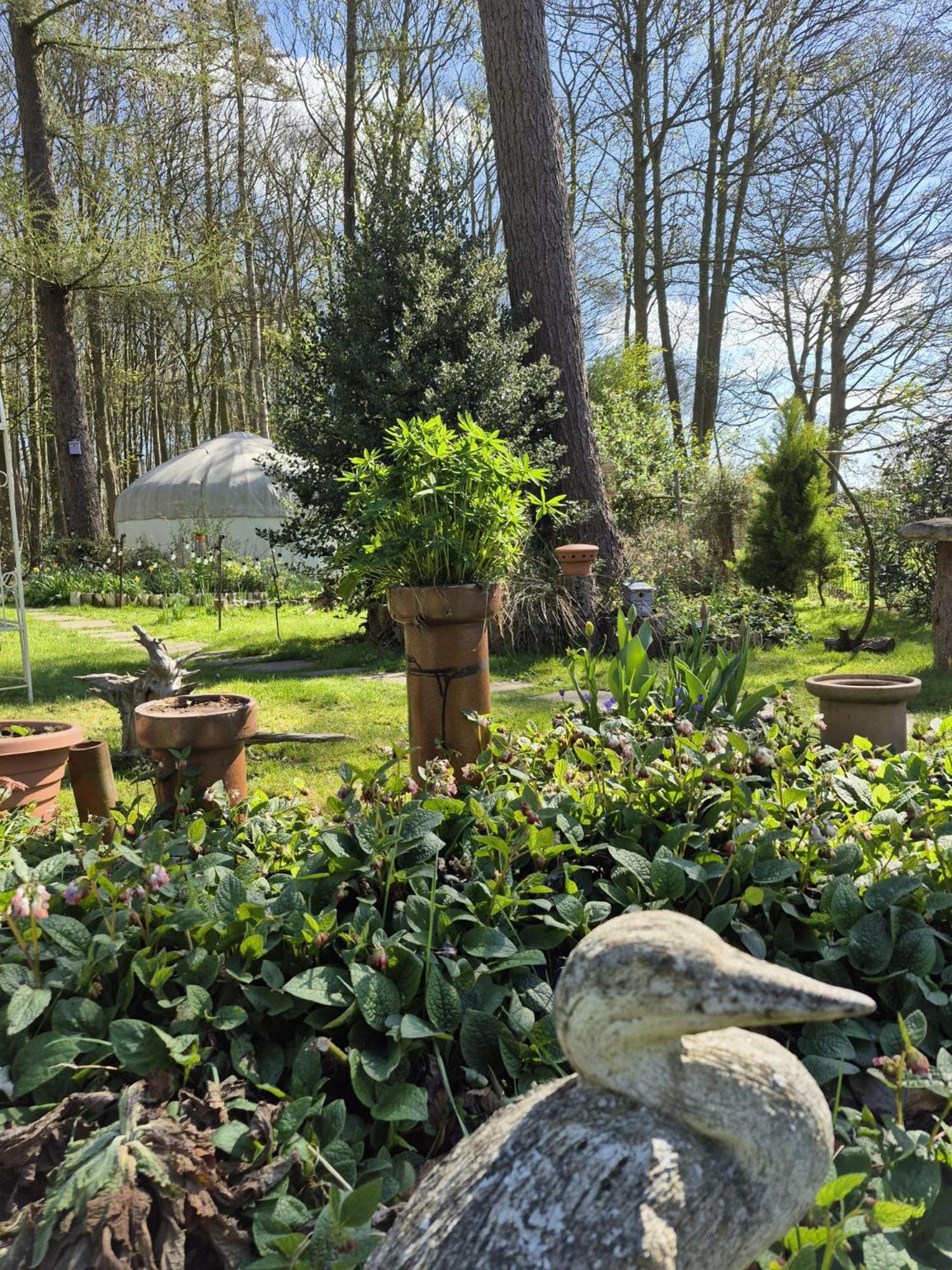 Gingerbread Cottage Yurts Dereham Zewnętrze zdjęcie