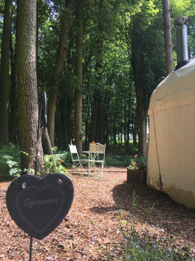 Gingerbread Cottage Yurts Dereham Zewnętrze zdjęcie