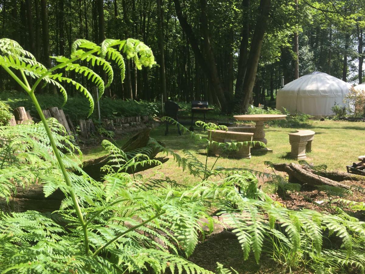 Gingerbread Cottage Yurts Dereham Zewnętrze zdjęcie