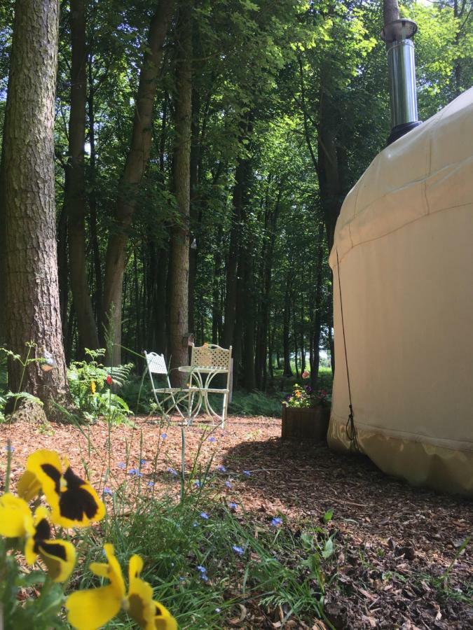 Gingerbread Cottage Yurts Dereham Zewnętrze zdjęcie